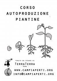 corsocesare1 corsocesare1