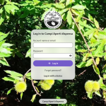 Manutenzione autunnale sito e cloud 2023